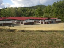 box a noleggio - all'inglese